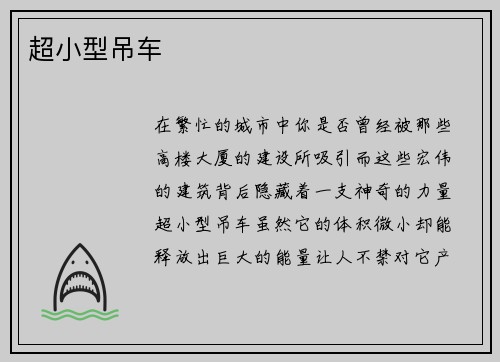 超小型吊车